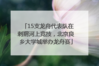 15支龙舟代表队在刺猬河上竞技，北京良乡大学城举办龙舟赛