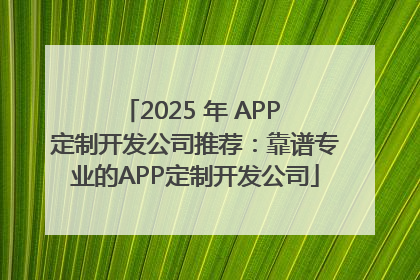 2025 年 APP 定制开发公司推荐：靠谱专业的APP定制开发公司