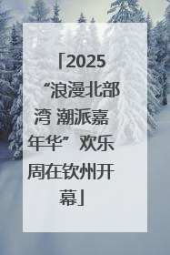 2025“浪漫北部湾 潮派嘉年华”欢乐周在钦州开幕