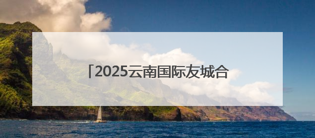 2025云南国际友城合作周主题活动在昆明举行
