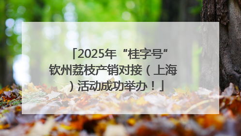 2025年“桂字号”钦州荔枝产销对接（上海）活动成功举办！