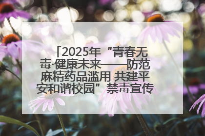 2025年“青春无毒·健康未来——防范麻精药品滥用 共建平安和谐校园”禁毒宣传专题活动在咸宁举行