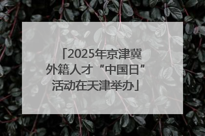 2025年京津冀外籍人才“中国日”活动在天津举办