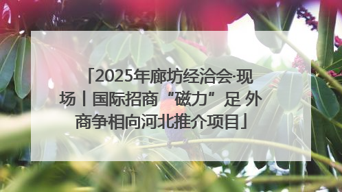 2025年廊坊经洽会·现场丨国际招商“磁力”足 外商争相向河北推介项目