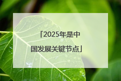 2025年是中国发展关键节点