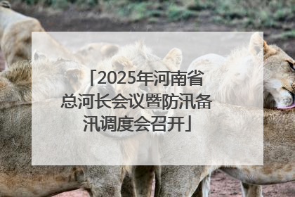 2025年河南省总河长会议暨防汛备汛调度会召开