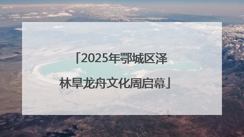 2025年鄂城区泽林旱龙舟文化周启幕