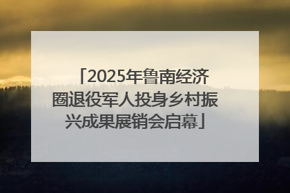2025年鲁南经济圈退役军人投身乡村振兴成果展销会启幕