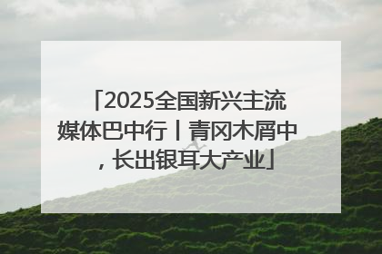 2025全国新兴主流媒体巴中行丨青冈木屑中，长出银耳大产业