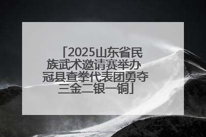2025山东省民族武术邀请赛举办 冠县查拳代表团勇夺三金二银一铜