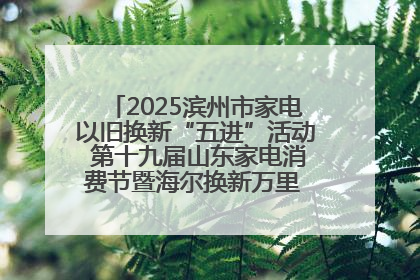 2025滨州市家电以旧换新“五进”活动 第十九届山东家电消费节暨海尔换新万里 行山东站全面启动