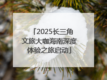 2025长三角文旅大咖海南深度体验之旅启动
