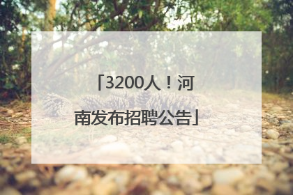 3200人！河南发布招聘公告