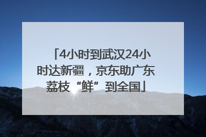 4小时到武汉24小时达新疆，京东助广东荔枝“鲜”到全国