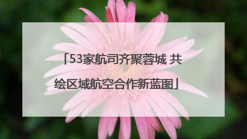 53家航司齐聚蓉城 共绘区域航空合作新蓝图