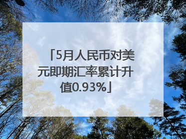 5月人民币对美元即期汇率累计升值0.93%