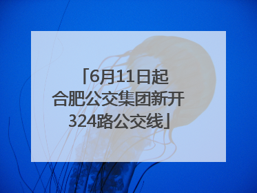 6月11日起 合肥公交集团新开324路公交线