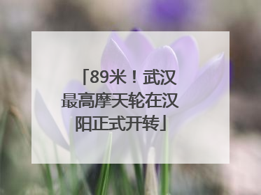 89米！武汉最高摩天轮在汉阳正式开转
