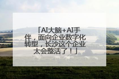 AI大脑+AI手伴，面向企业数字化转型，长沙这个企业太会整活了！