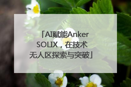 AI赋能Anker SOLIX，在技术无人区探索与突破