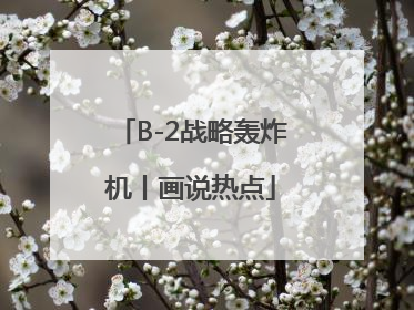 B-2战略轰炸机丨画说热点