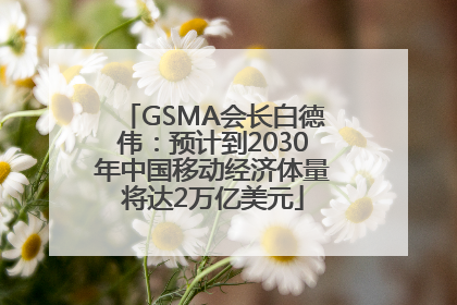 GSMA会长白德伟：预计到2030年中国移动经济体量将达2万亿美元