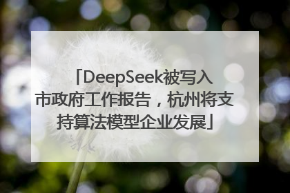 DeepSeek被写入市政府工作报告，杭州将支持算法模型企业发展