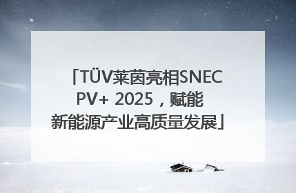 TÜV莱茵亮相SNEC PV+ 2025，赋能新能源产业高质量发展
